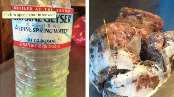 Antifreeze beef with glass tossed to WA dogs kgw